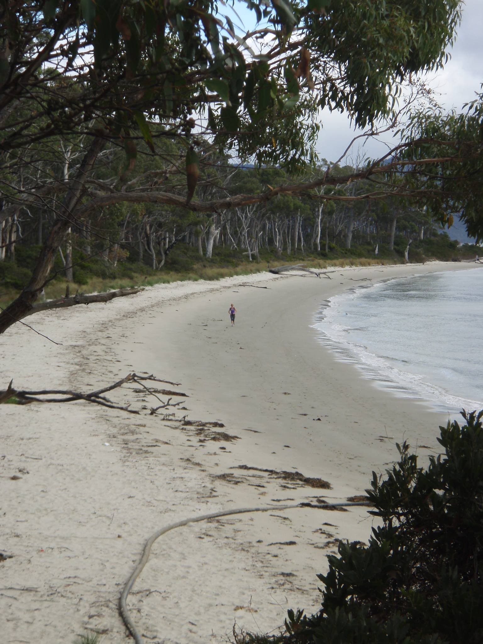 Trail running, Bruny Island