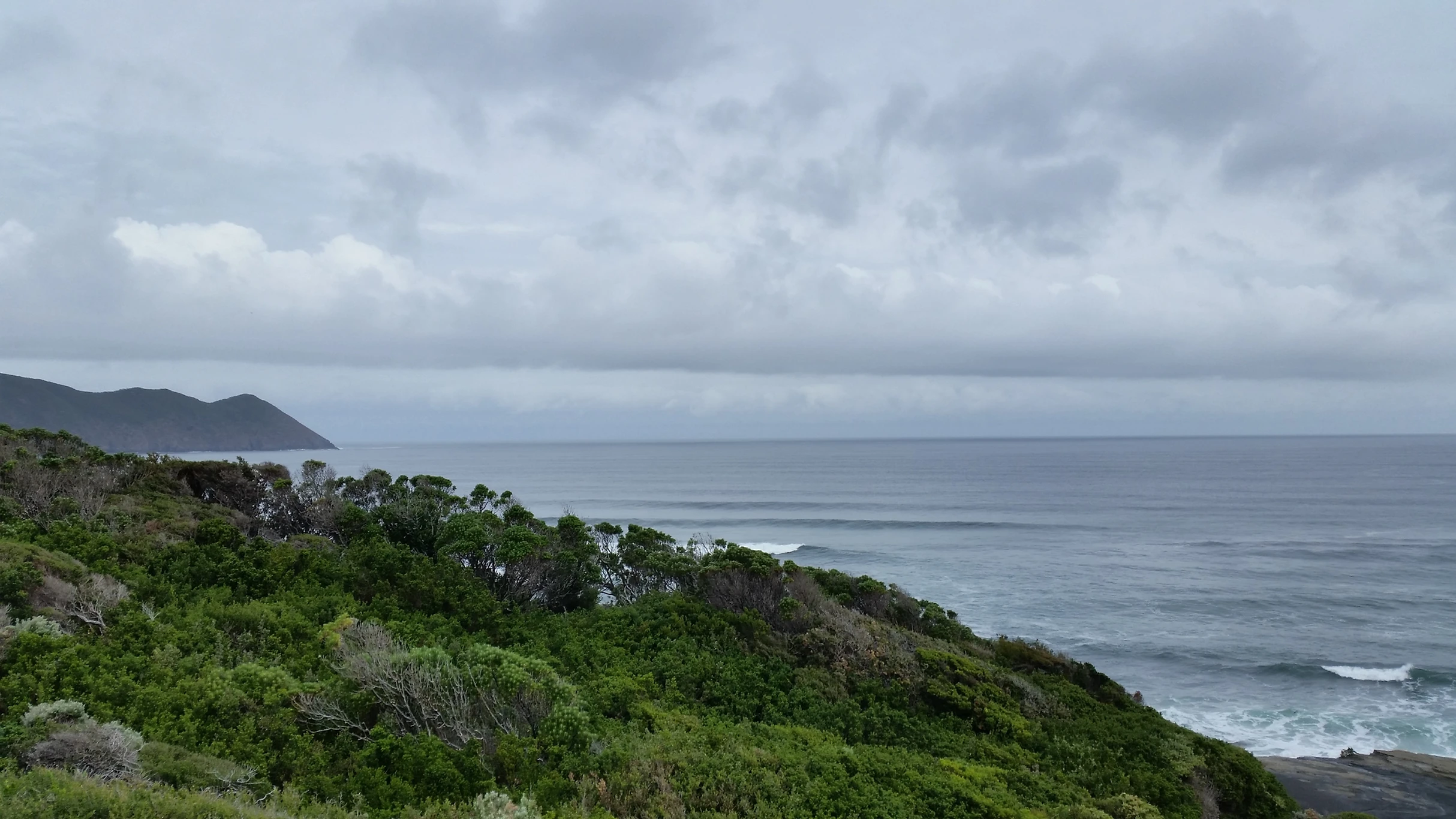 South Coast Track