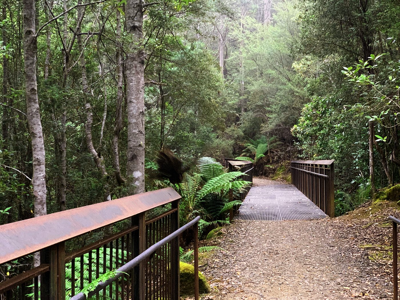 Pipeline Track, Hobart